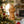 Mini Angel Christmas Ornament made from olive wood in the Holy Land - Home Religious décor -Perfect Angel Statue tree decoration 3.5″ X 1.6″