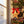 Personalized Olive Wood Star Ornament: Custom Family Name Gift