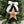 Personalized Olive Wood Star Ornament: Custom Family Name Gift