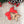 Personalized Olive Wood Star Ornament: Custom Family Name Gift